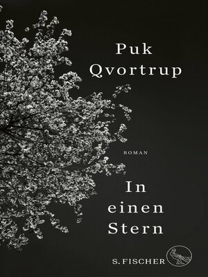 cover image of In einen Stern